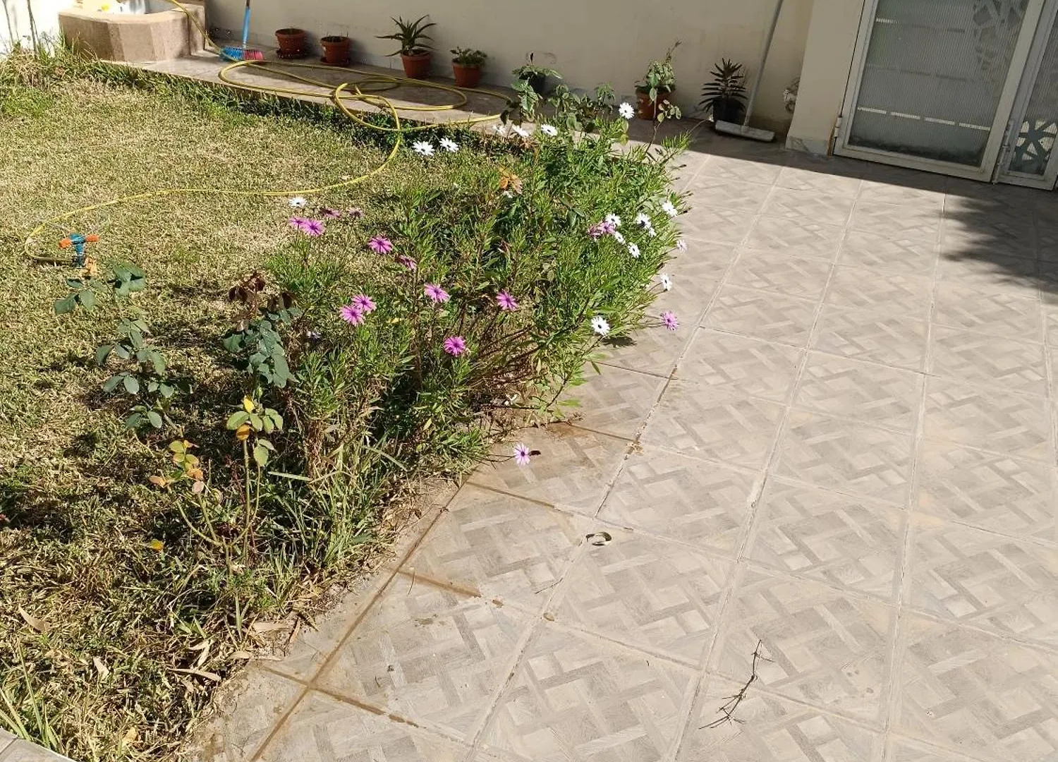 Villa Foundou Gammarth Tunis